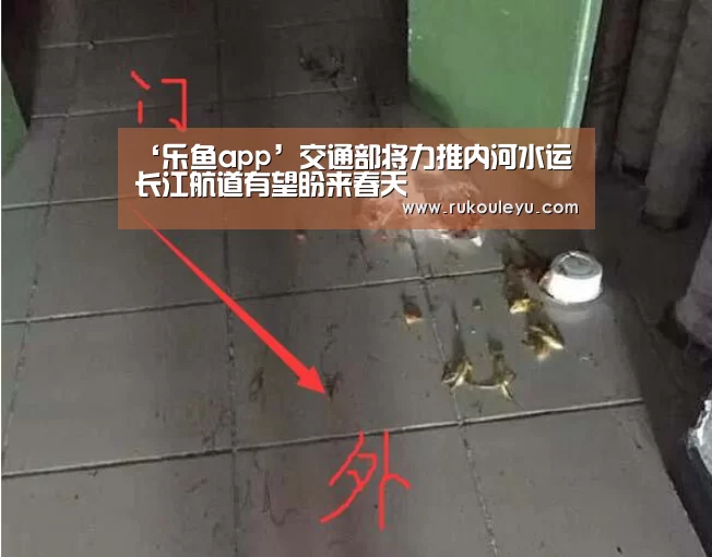 乐鱼app